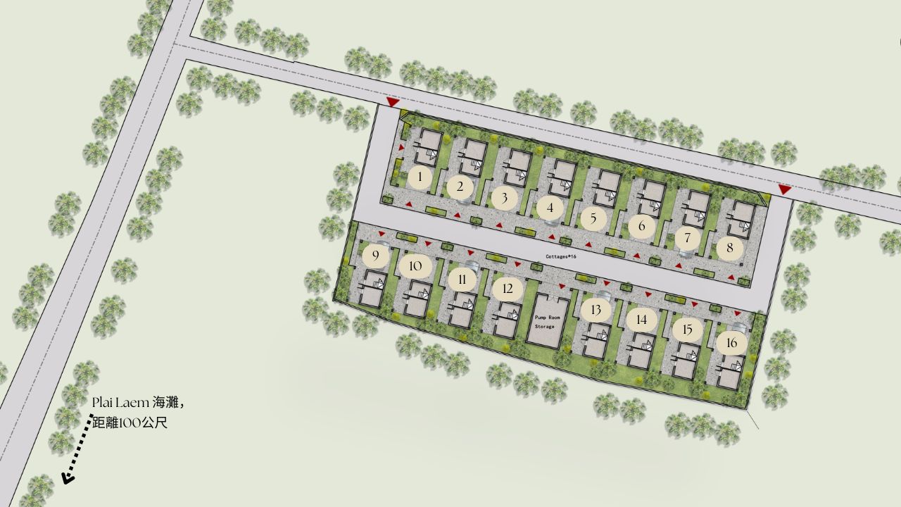 Copy of Alaya 3 (1)
